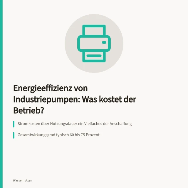 Industriepumpe mit IE4-Motor in Betriebsanlage, Rohrleitungen und Manometer sichtbar. Energieeffizienz von Industriepumpen: Was kostet der Betrieb?